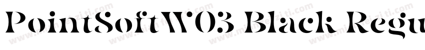 PointSoftW03 Black Regular字体转换